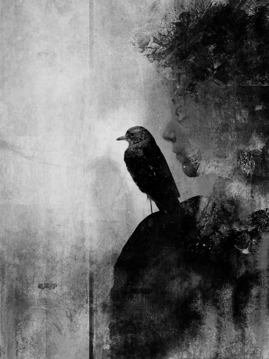 RECOVERED BTM ART // RAVEN